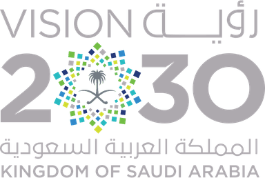 Saudi Vision