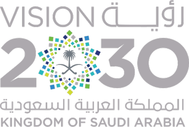 Saudi Vision